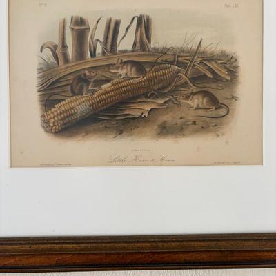 Sale Photo Thumbnail #167