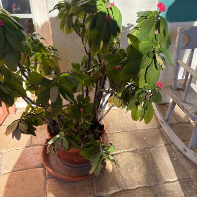 Sale Photo Thumbnail #10