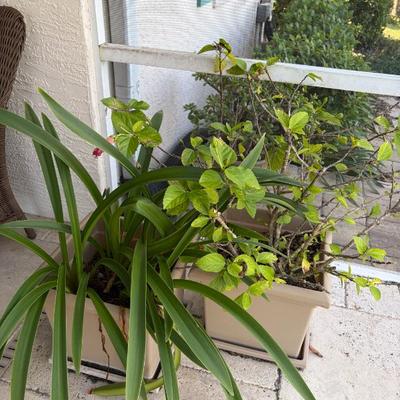 Sale Photo Thumbnail #88