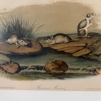 Sale Photo Thumbnail #166