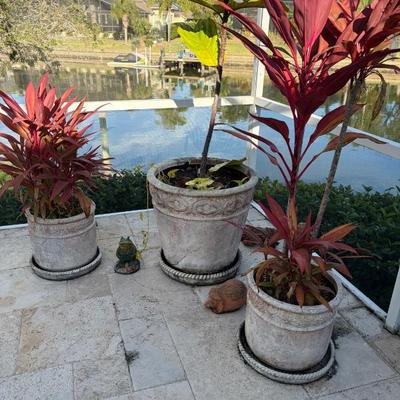 Sale Photo Thumbnail #97