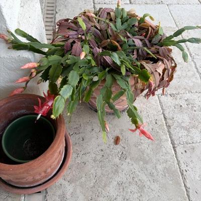 Sale Photo Thumbnail #87