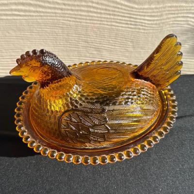 Amber Hen on Nest