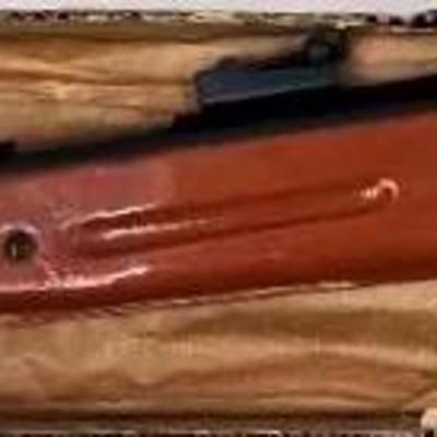 "Sea Lion" Air Rifle