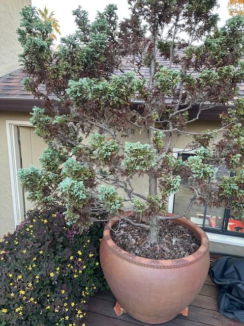 Sale Photo Thumbnail #3