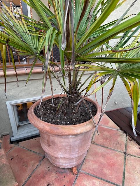 Sale Photo Thumbnail #12