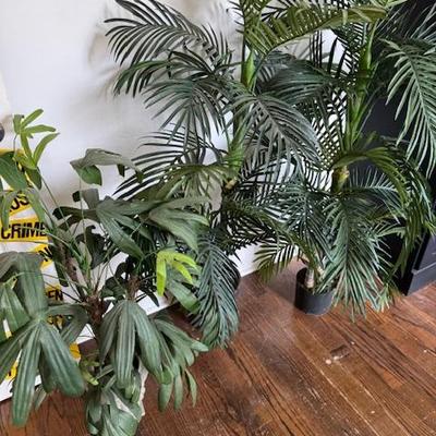 Sale Photo Thumbnail #468