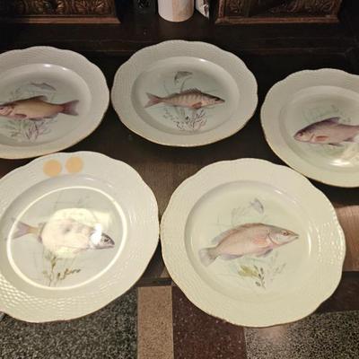 Sale Photo Thumbnail #42