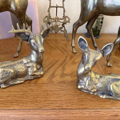 Sale Photo Thumbnail #48