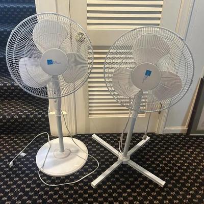 (2) Living Accents Pedestal Fans