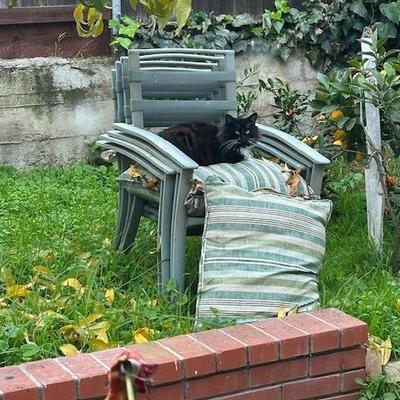 Sale Photo Thumbnail #282