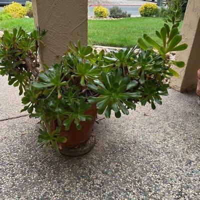 Sale Photo Thumbnail #293