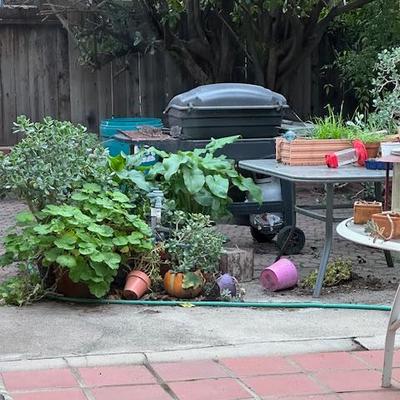 Sale Photo Thumbnail #279