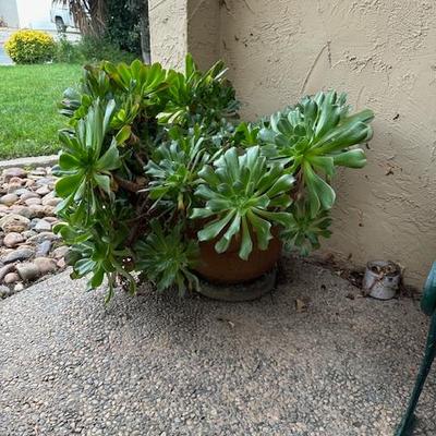 Sale Photo Thumbnail #291