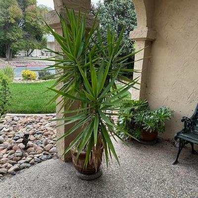 Sale Photo Thumbnail #292