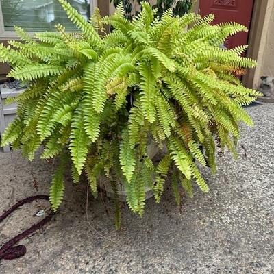 Sale Photo Thumbnail #289