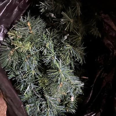 Sale Photo Thumbnail #251