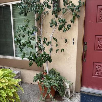 Sale Photo Thumbnail #285