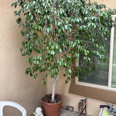 Sale Photo Thumbnail #288