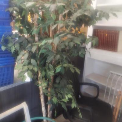 Sale Photo Thumbnail #168