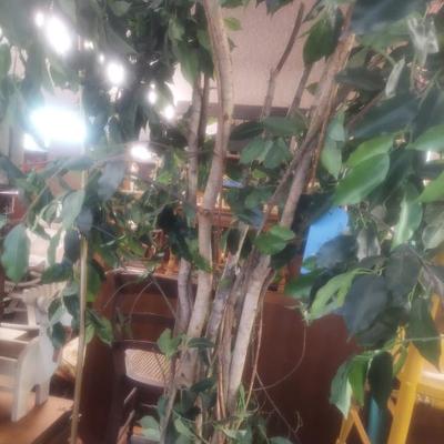 Sale Photo Thumbnail #125