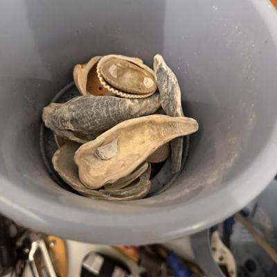 Sale Photo Thumbnail #245