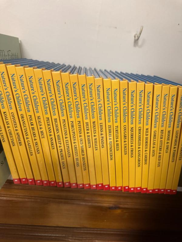 Sale Photo Thumbnail #267