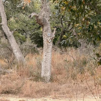 Sale Photo Thumbnail #361