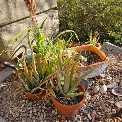 Sale Photo Thumbnail #186