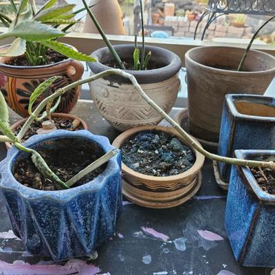 Sale Photo Thumbnail #343