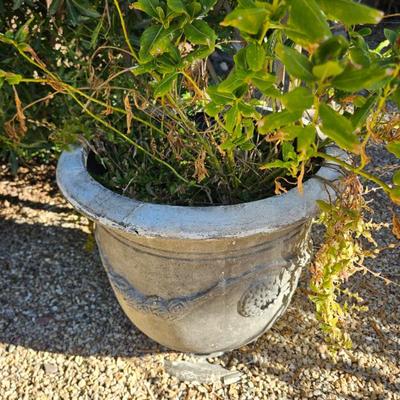 Sale Photo Thumbnail #162