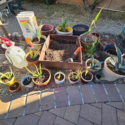 Sale Photo Thumbnail #136