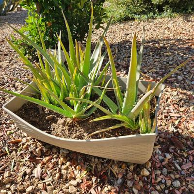 Sale Photo Thumbnail #187