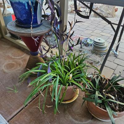 Sale Photo Thumbnail #339