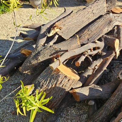 Sale Photo Thumbnail #168