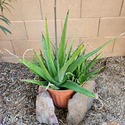 Sale Photo Thumbnail #140