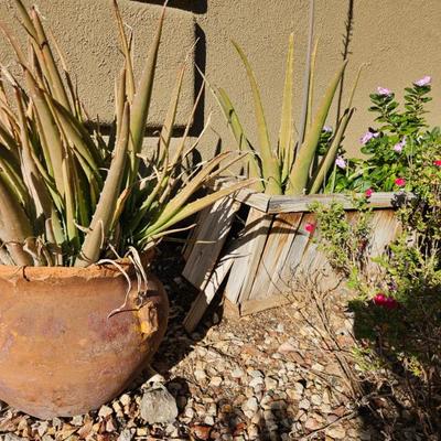 Sale Photo Thumbnail #190