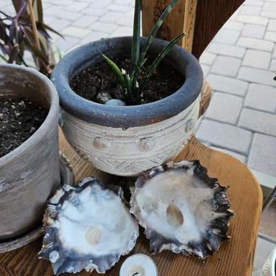 Sale Photo Thumbnail #124