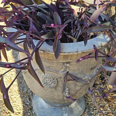 Sale Photo Thumbnail #147