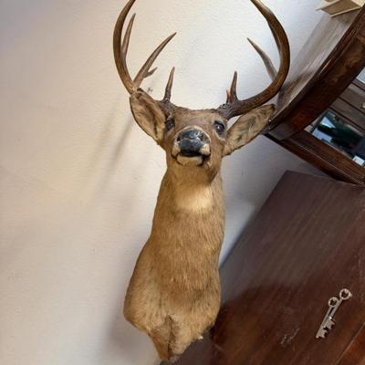 Sale Photo Thumbnail #171