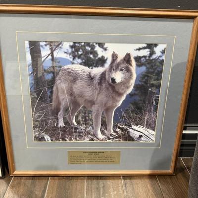 Sale Photo Thumbnail #64