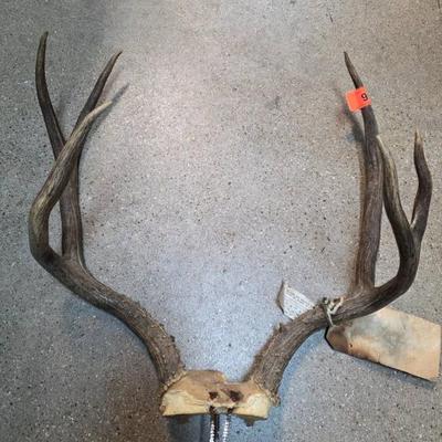 Sale Photo Thumbnail #192