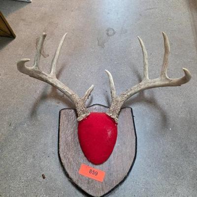 Sale Photo Thumbnail #138