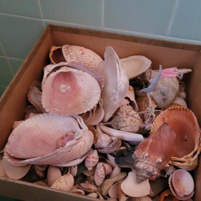 Sale Photo Thumbnail #121