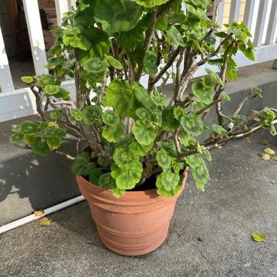 Sale Photo Thumbnail #108