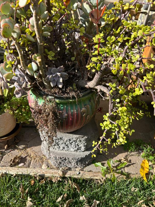 Sale Photo Thumbnail #126