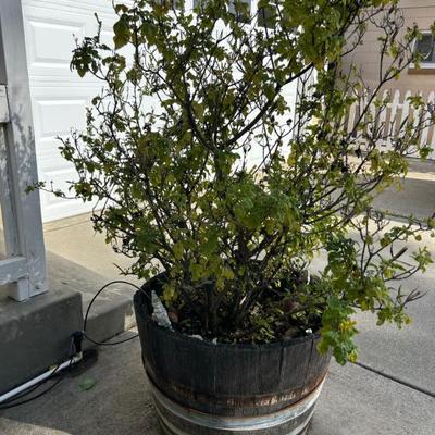 Sale Photo Thumbnail #107