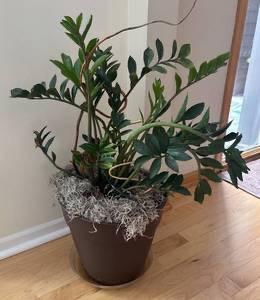 Sale Photo Thumbnail #25