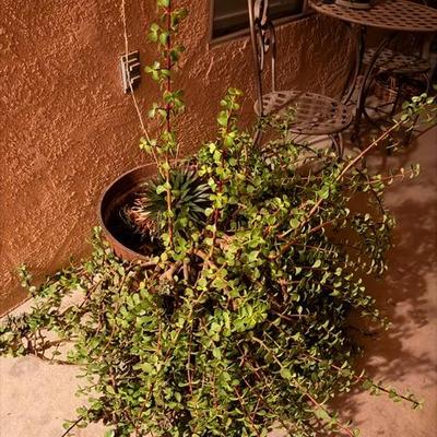 Sale Photo Thumbnail #76