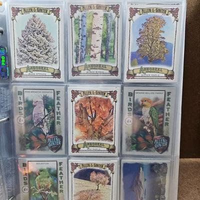 Sale Photo Thumbnail #129